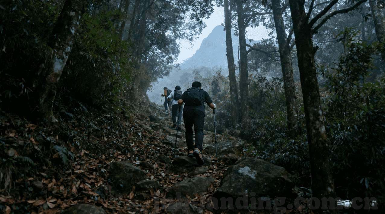 世界杯投注什么意思-世界杯投注，一场激情与策略交织的盛宴